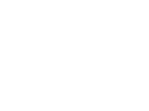 The Bombay Box Logo
